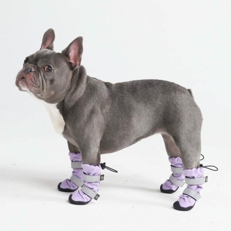 Flex Shell Waterproof Dog Boots - Image 19