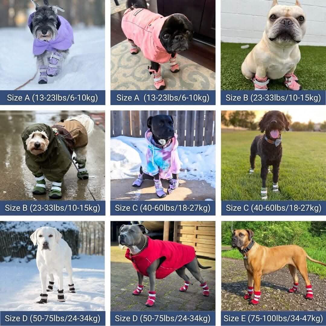 Flex Shell Waterproof Dog Boots - Image 20