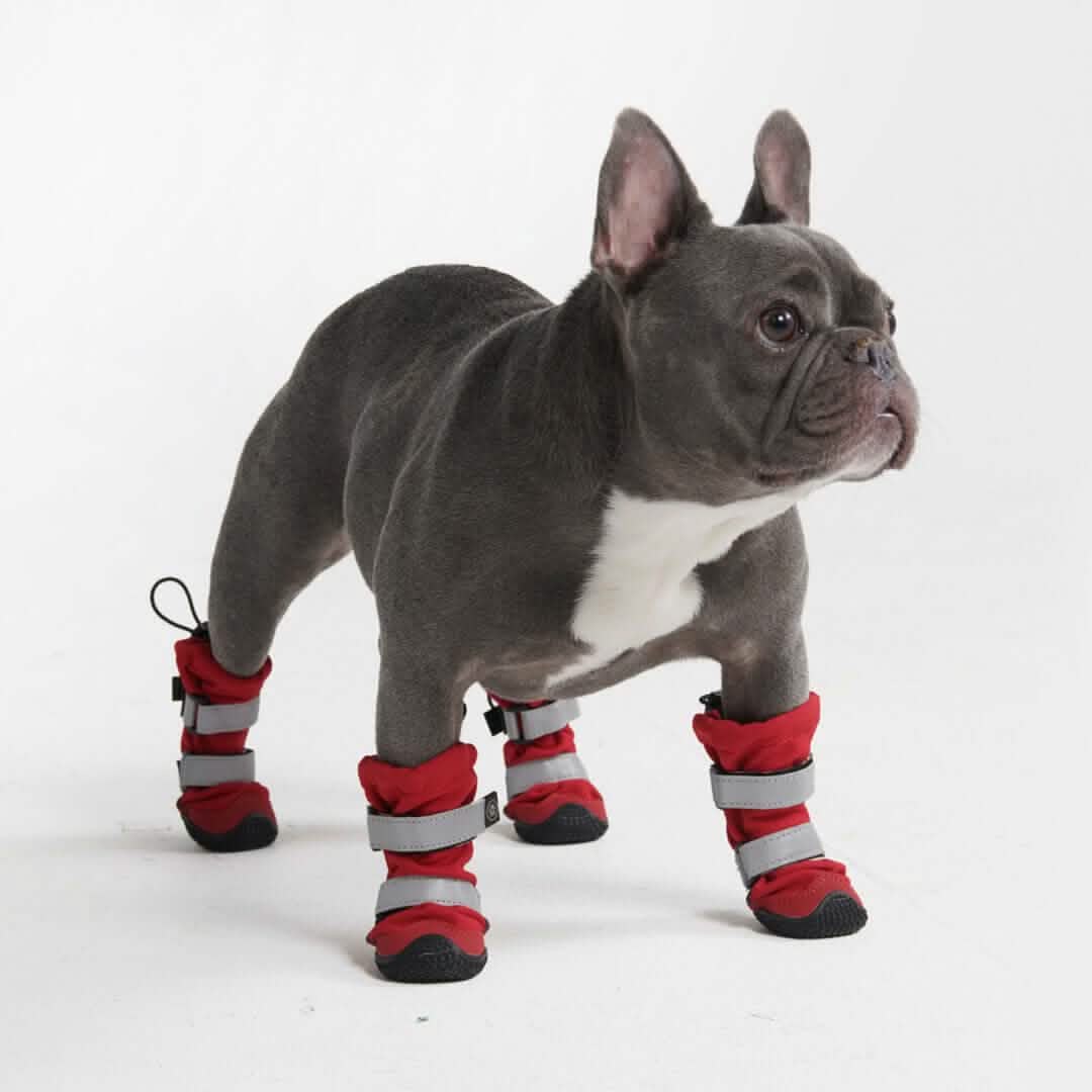 Flex Shell Waterproof Dog Boots - Image 27