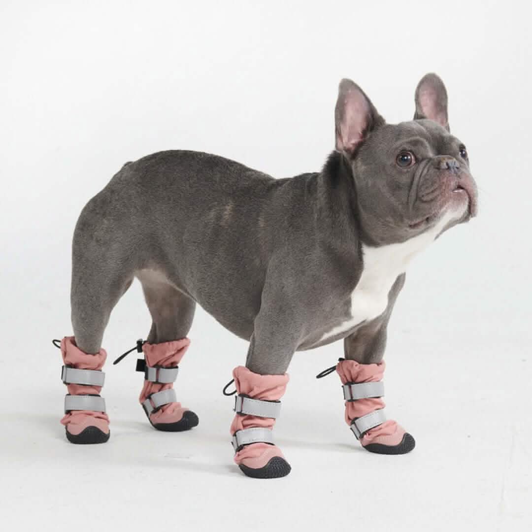Flex Shell Waterproof Dog Boots - Image 33