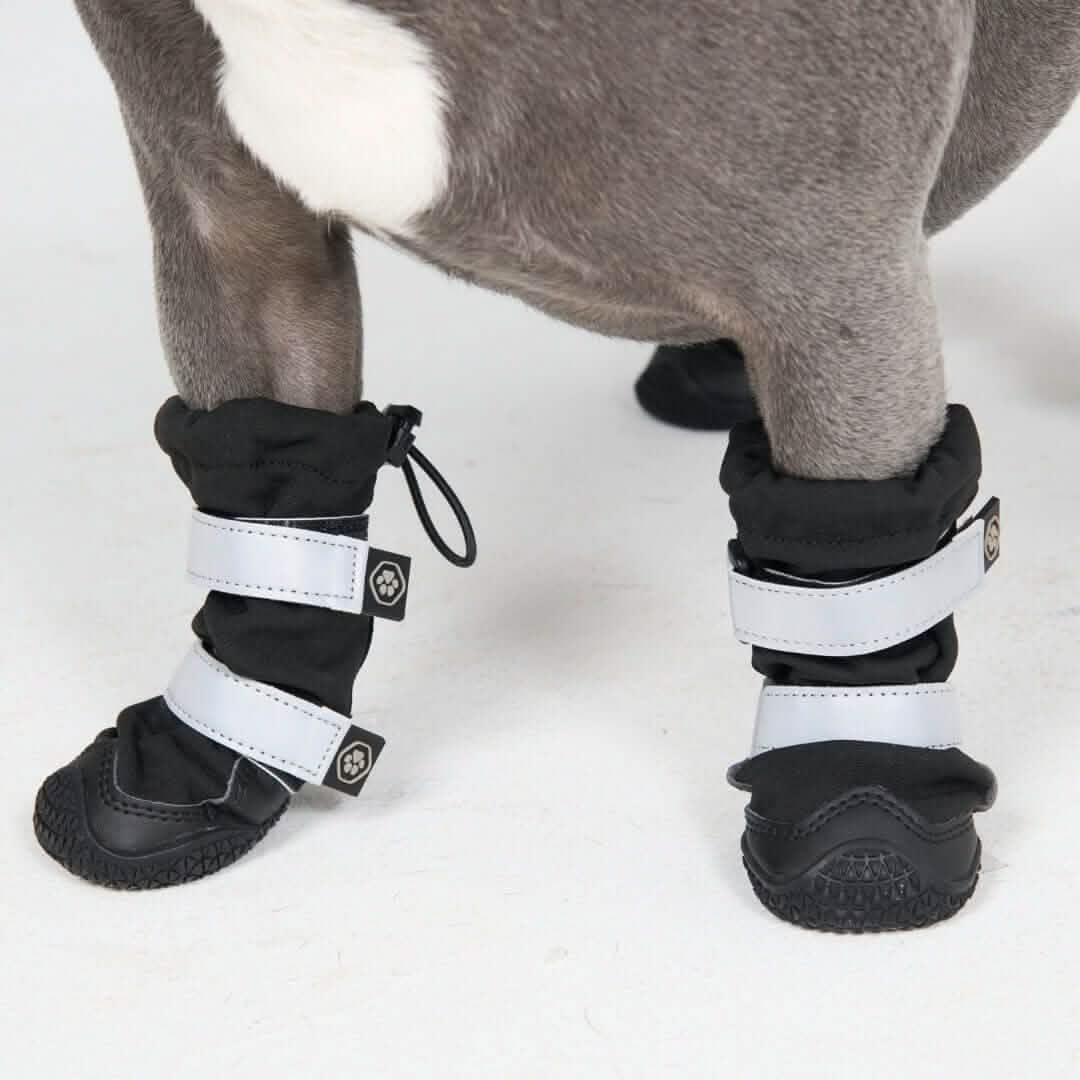 Flex Shell Waterproof Dog Boots - Image 4