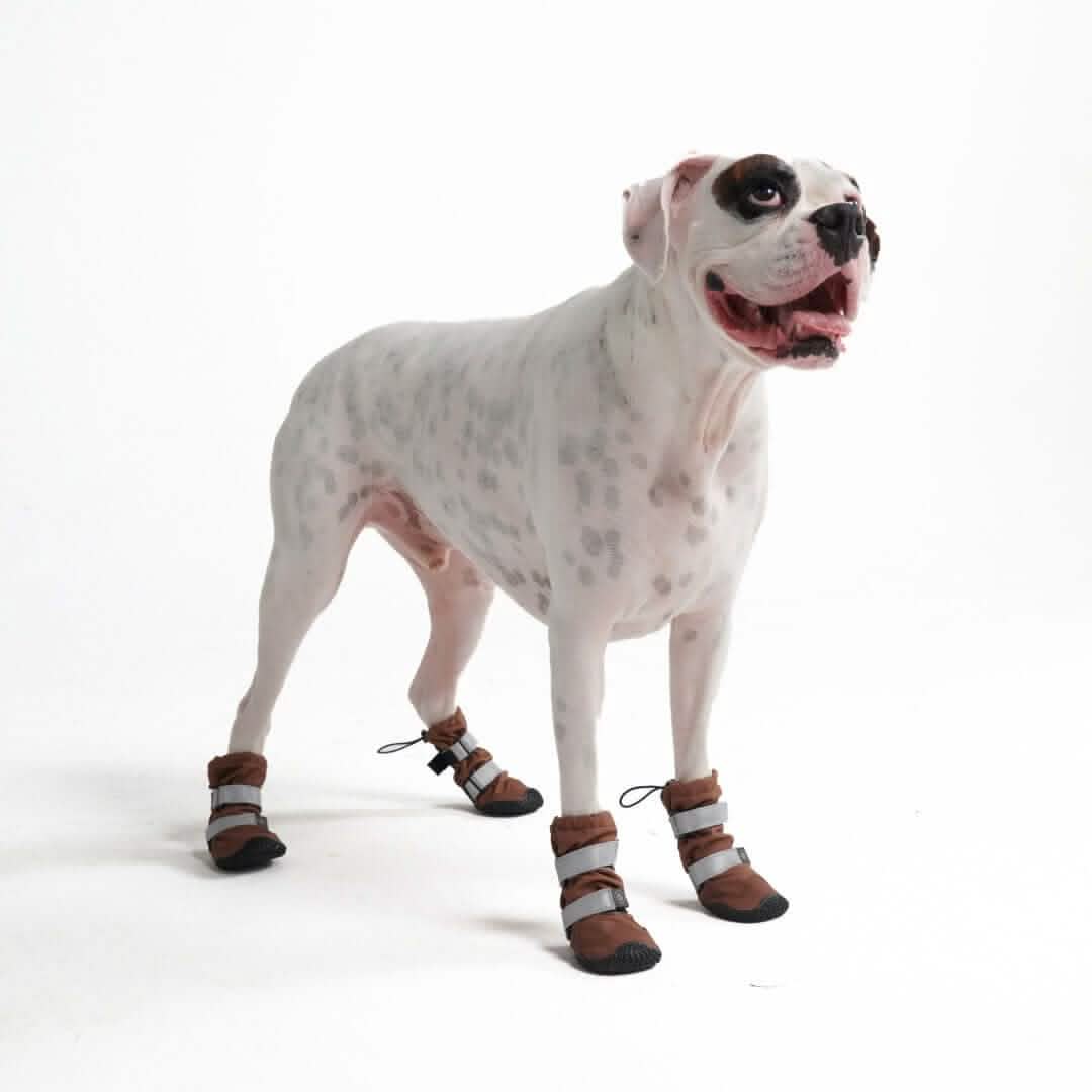Flex Shell Waterproof Dog Boots - Image 70