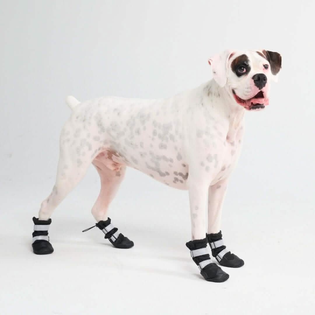 Flex Shell Waterproof Dog Boots - Image 8