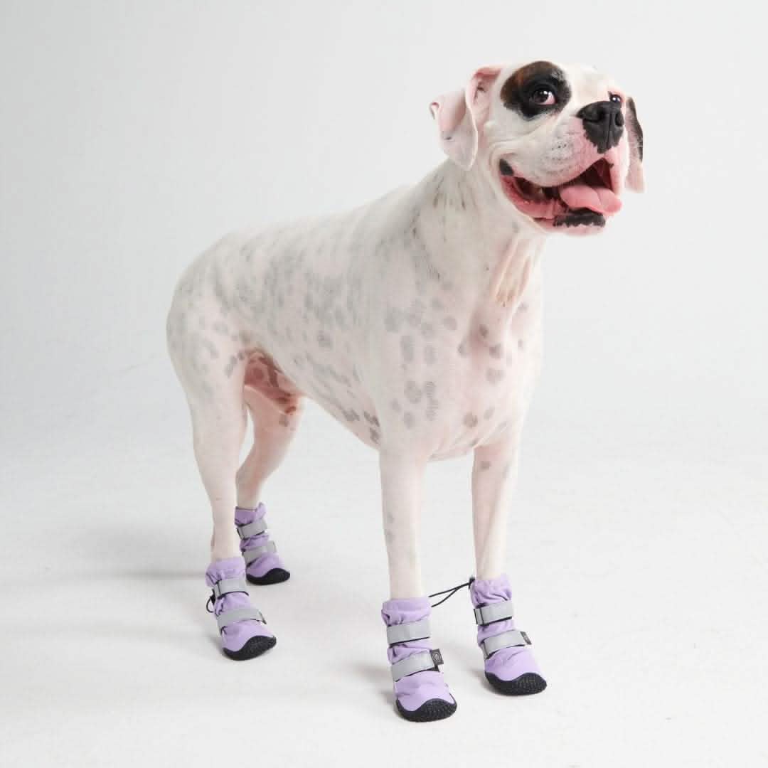 Flex Shell Waterproof Dog Boots - Lilac - Image 6