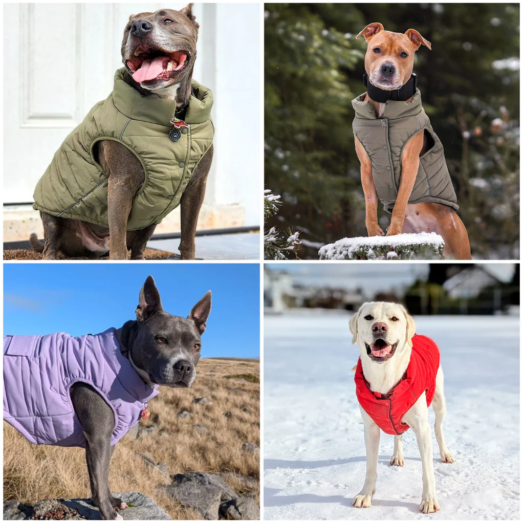 WarmShield Water-Resistant Jackets - Image 136